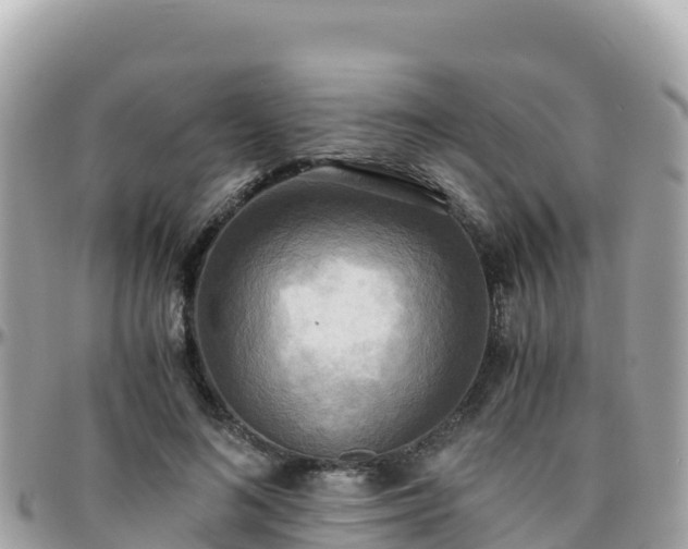 X0000096220692200801251057