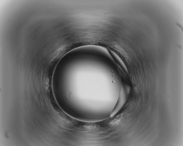 X0000096220693200801251057