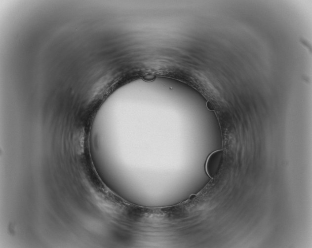 X0000096220694200801251057