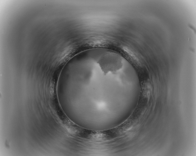 X0000096220695200801251057