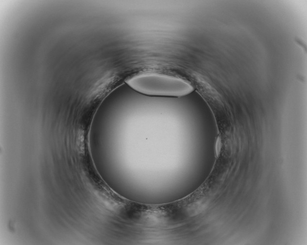 X0000096220696200801251057