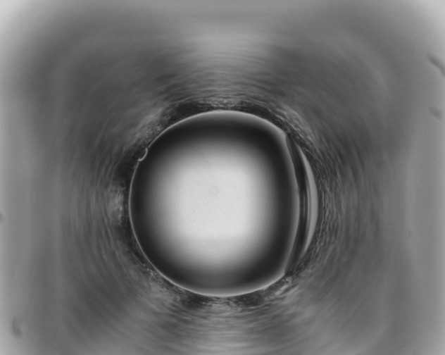 X0000096220697200801251057