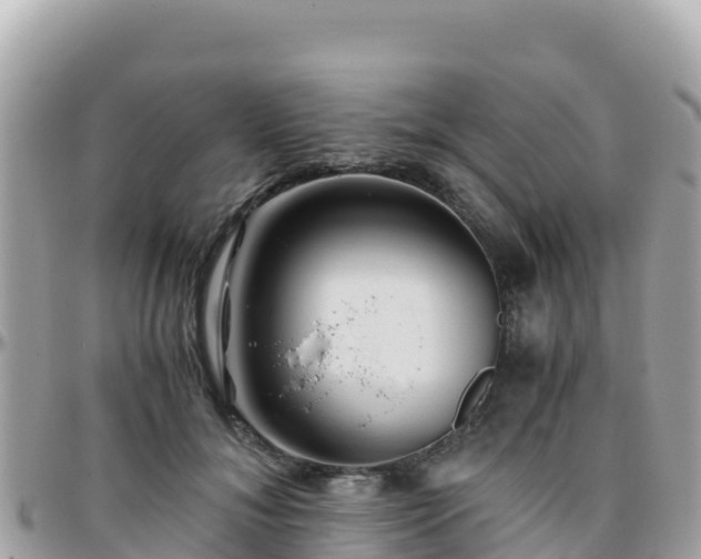 X0000096220700200801251057