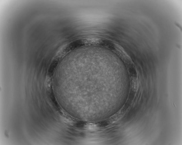 X0000096220701200801251057