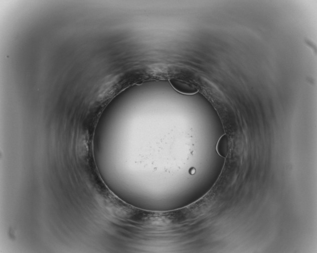 X0000096220702200801251057