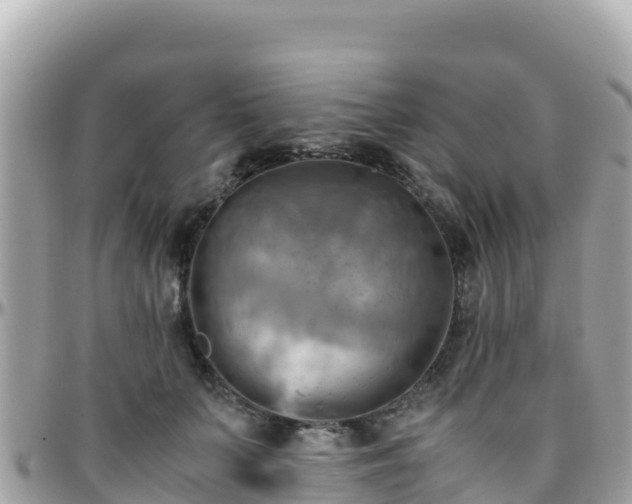 X0000096220703200801251057