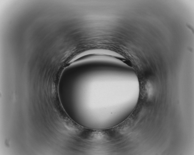 X0000096220704200801251057