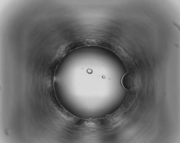 X0000096220706200801251057