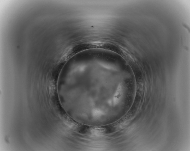 X0000096220707200801251057