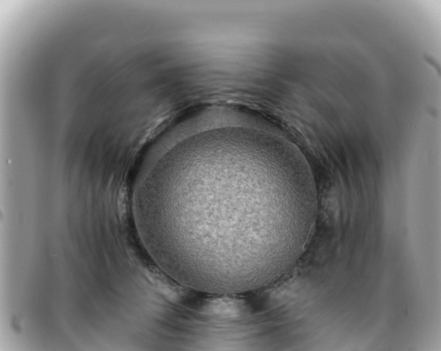 X0000096220708200801251057