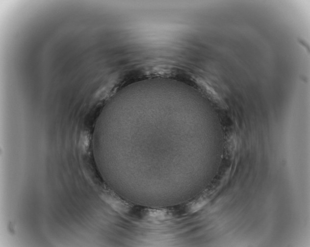 X0000096220709200801251057