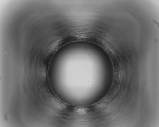 X0000096220710200801251056