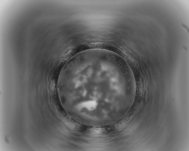 X0000096220711200801251056