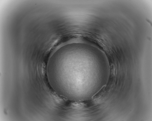 X0000096220712200801251056