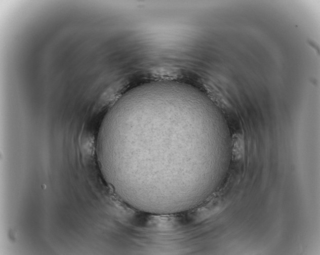 X0000096220713200801251056