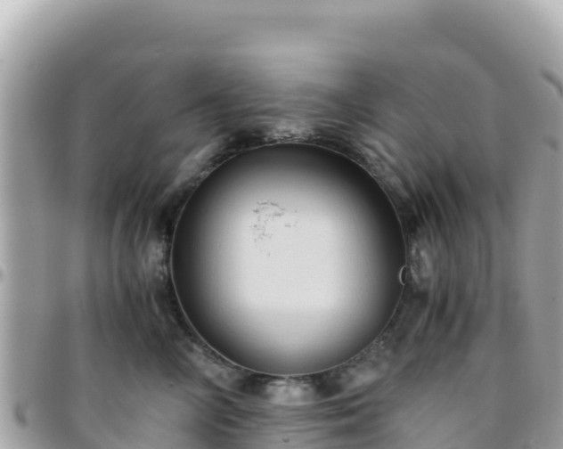 X0000096220714200801251056