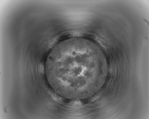 X0000096220715200801251056