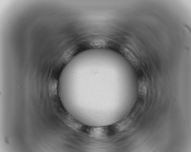 X0000096220717200801251056