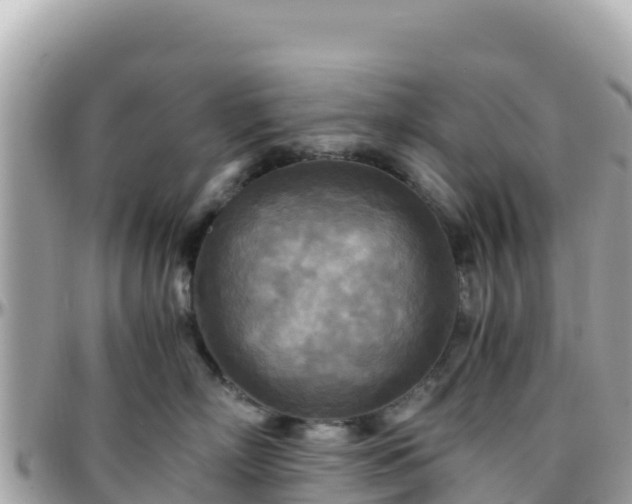 X0000096220718200801251056