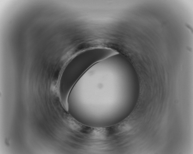 X0000096220720200801251056