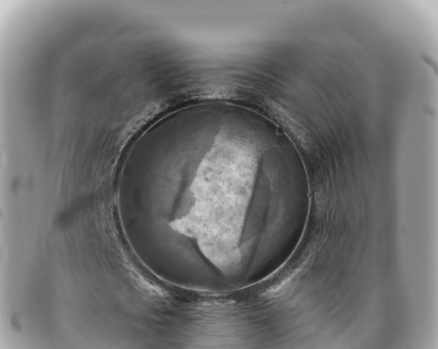 X0000096220721200801251056