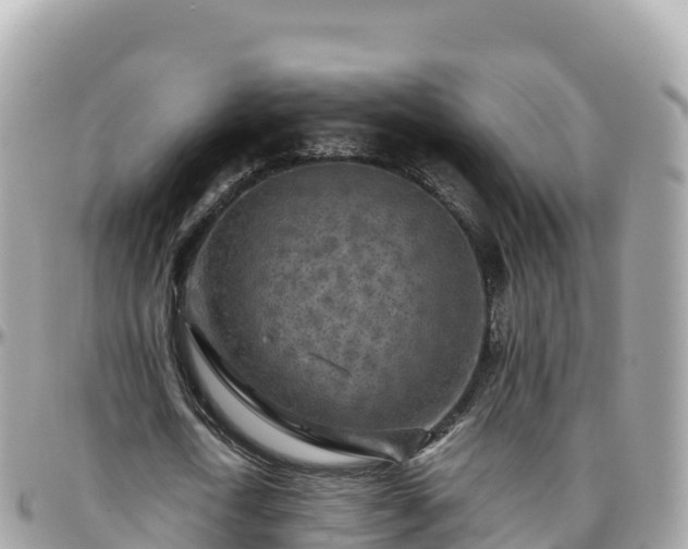 X0000096220722200801251056