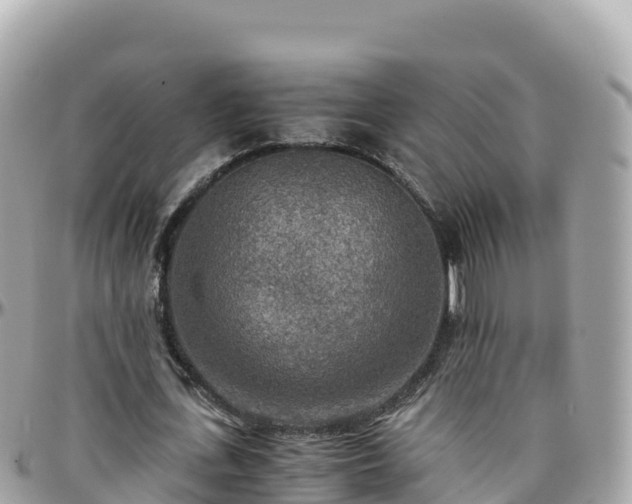 X0000096220723200801251056