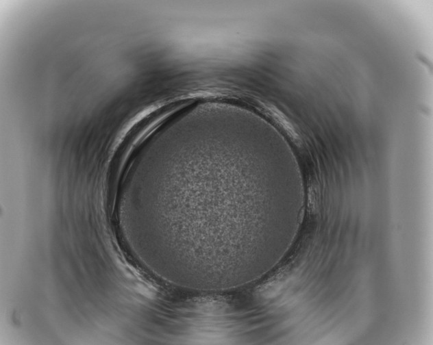 X0000096220724200801251056