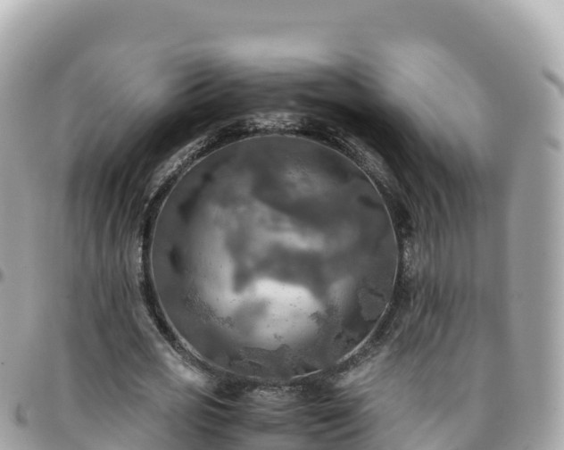 X0000096220725200801251056