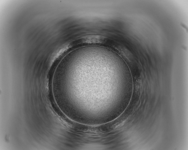 X0000096220727200801251056