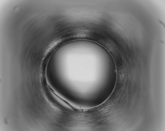 X0000096220728200801251056