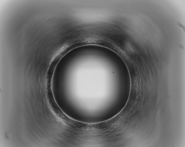 X0000096220730200801251056