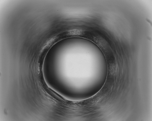 X0000096220731200801251056