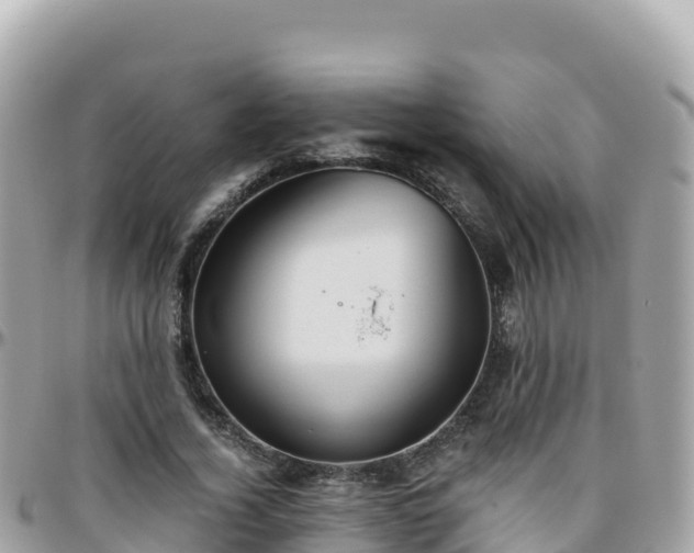 X0000096220732200801251056