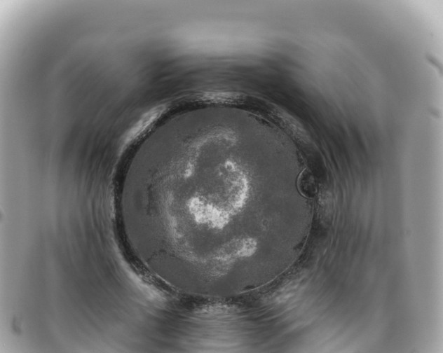 X0000096220734200801251056