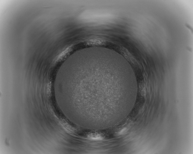 X0000096220735200801251056