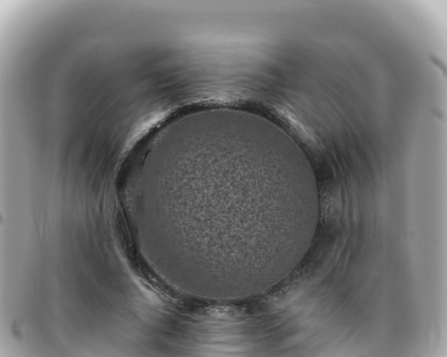 X0000096220736200801251056