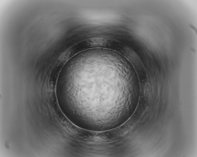 X0000096220737200801251056