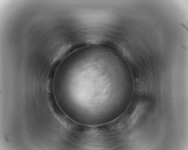 X0000096220738200801251056