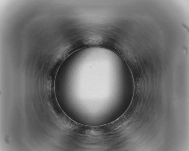 X0000096220739200801251056