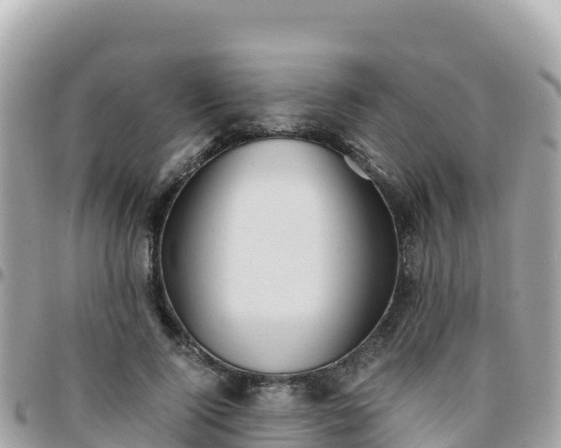 X0000096220740200801251056