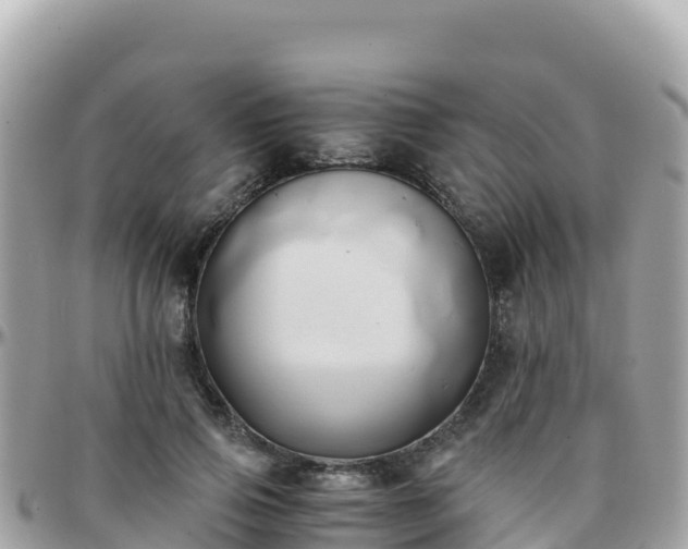 X0000096220741200801251056