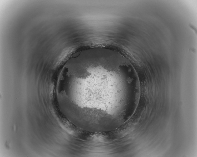 X0000096220742200801251056