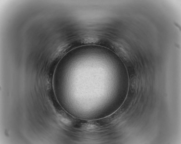 X0000096220743200801251056