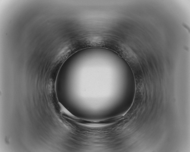 X0000096220744200801251056