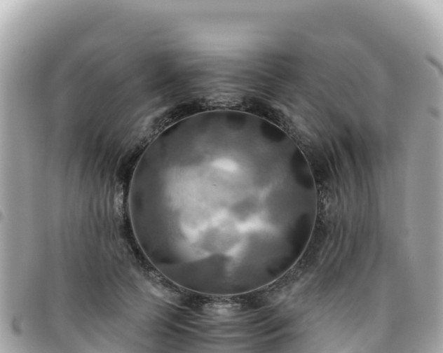 X0000096220745200801251056