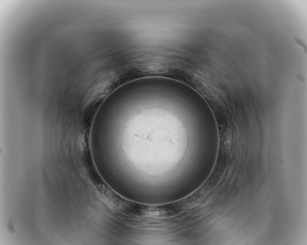 X0000096220746200801251056