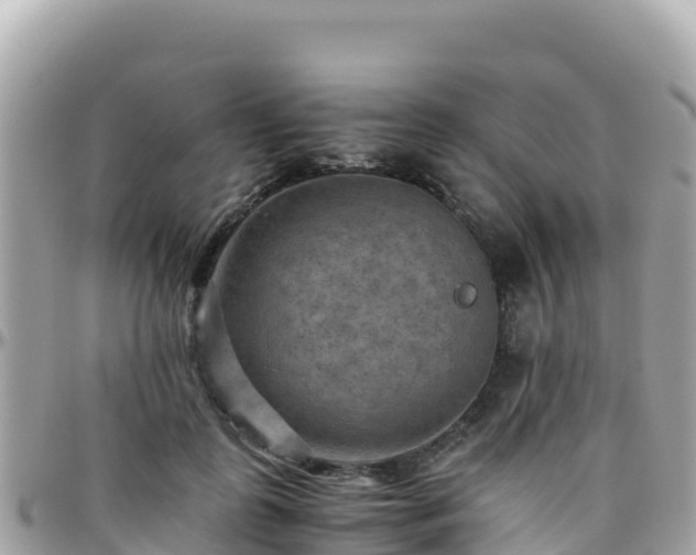 X0000096220747200801251056