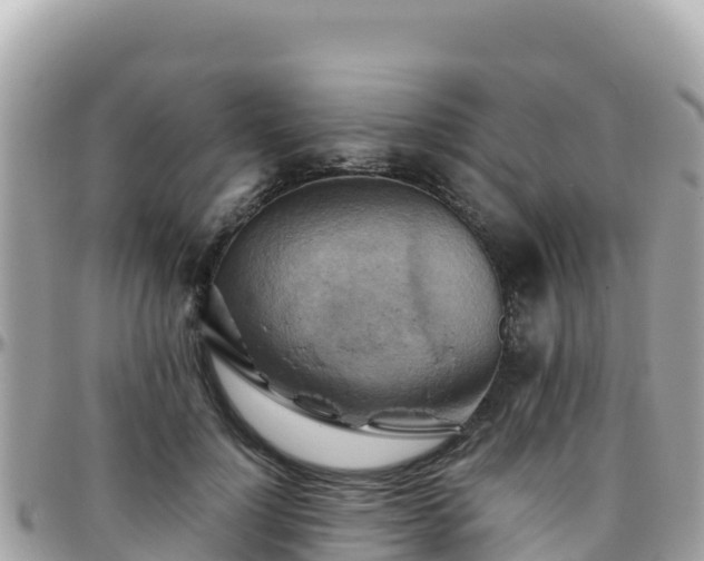 X0000096220748200801251056