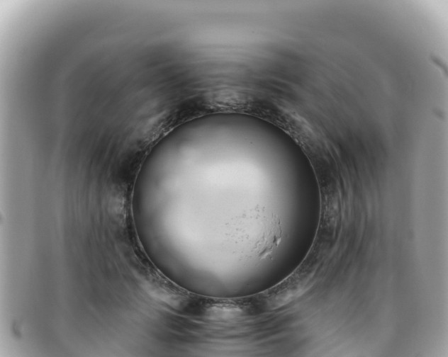 X0000096220749200801251056